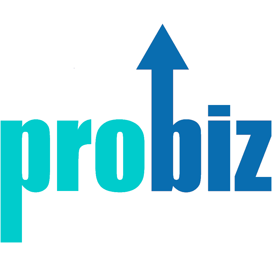 Pro Biz Services